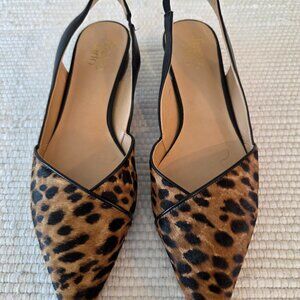Franco Sarto Animal Print Flats  Size 11